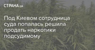 Под Киевом сотрудница суда попалась решила продать наркотики подсудимому