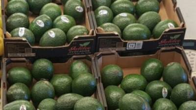 Израиль впервые начнет поставлять авокадо в Японию