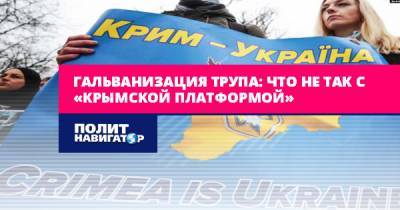Гальванизация трупа: Что не так с «Крымской платформой»