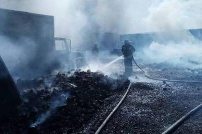 Отвечать за тушение природных пожаров в муниципалитетах будут органы местного самоуправления