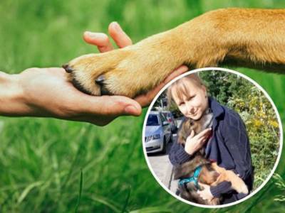 В Киеве девушка нашла собаку через 11 лет: невероятная история преданности