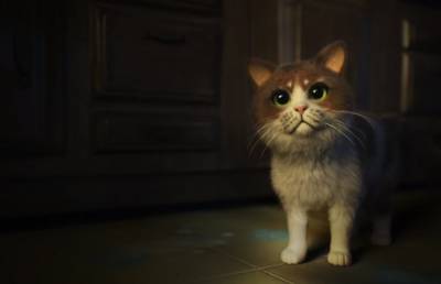 Вышел первый хоррор-фильм для котов