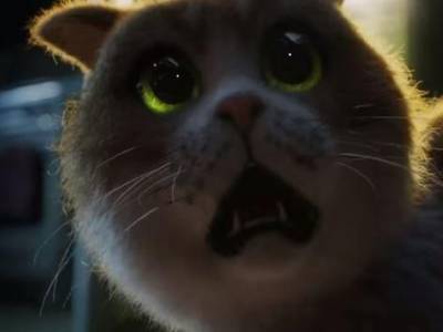 О самом страшном овоще: В Сети показали первый фильм ужасов для котов