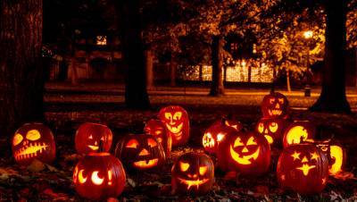 Хэллоуин в РФ предложили заменить на День похоронщика