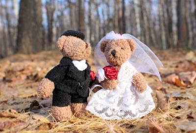 Семейный психолог назвала критический возраст для женитьбы