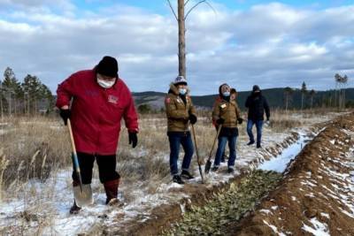 В Бурятии заложен первый в России лес по пермакультурной технологии