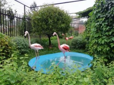 Зоопарк в Уфе построят в черте города