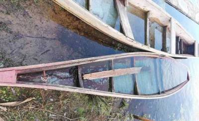В Ветковском районе утонул 74-летний рыбак