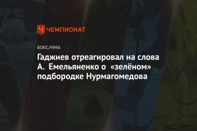 Гаджиев отреагировал на слова А. Емельяненко о «зелёном» подбородке Нурмагомедова