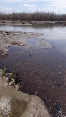 Жители Ямала сообщили о сливе мазута в реку