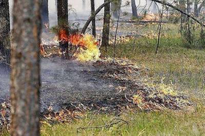 ДНСН предупреждает жителей юга и востока Украины о пожарной опасности