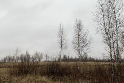 Латифундист из Задемьянья потерял 22 гектара облоги в Тверской области