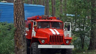 На юге Челябинской области вторые сутки тушат природный пожар