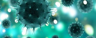 За сутки в России выявили 15 700 заболевших коронавирусом
