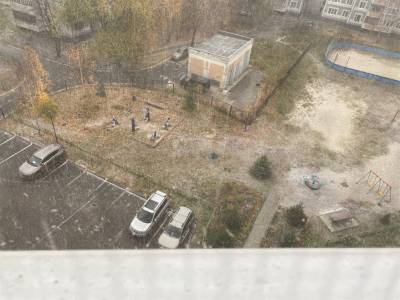 В Ульяновске выпал первый снег