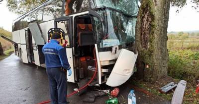 В полиции рассказали подробности ДТП с пассажирским автобусом в Зеленоградском районе