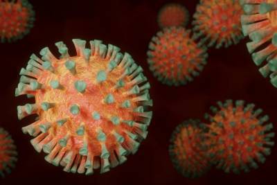 +92: количество инфицированных коронавирусом в Карелии неумолимо растет