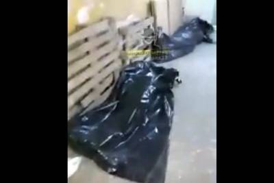 Сваленные в коридоре трупы жертв коронавируса показали на Алтае