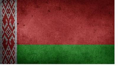 Петербуржцев, вышедших на митинг в поддержку Беларуси, оштрафовали