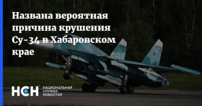Названа вероятная причина аварии Су-34 в Хабаровском крае