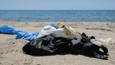 После карантина: пляжи Кинерета хотят очистить от мусора с помощью населения