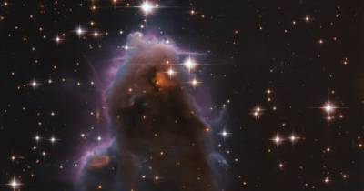 «Хаббл» сделал фантастический снимок рождения звезд