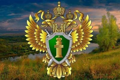 Ярославская природоохранная прокуратура накажет элитный парк-отель