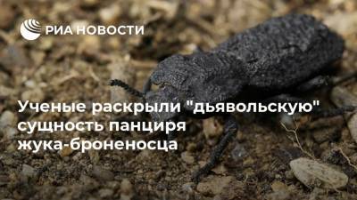 Ученые раскрыли "дьявольскую" сущность панциря жука-броненосца