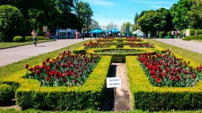 "Европейская Солидарность" требует от властей не допустить банкротства Национального ботанического сада имени Гришко