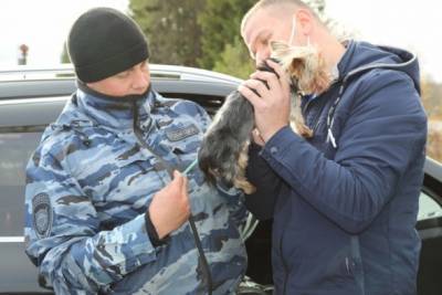 В Коми полицейский спас задыхающуюся собаку