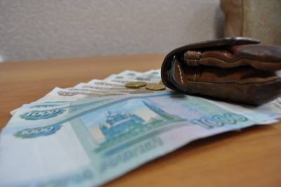 Средний доход жителей Башкирии хотят поднять до 50 тысяч рублей