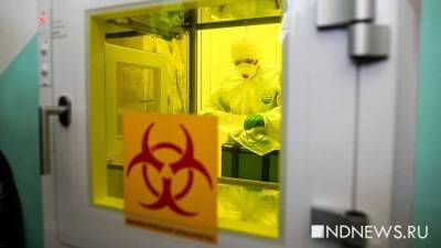 В Курганской области коронавирусом за сутки заразились почти 80 человек