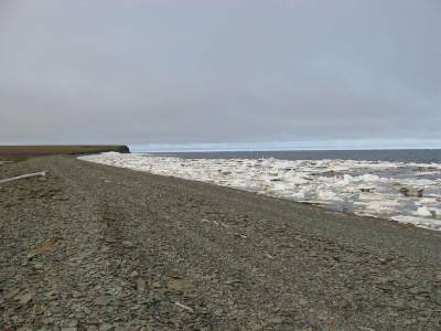 Климатологи: Море Лаптевых впервые не покрылось льдом в конце октября