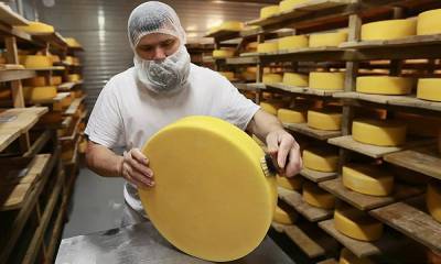Власти всё еще надеются на открытие сырного завода в Карелии: его не могут достроить 5 лет