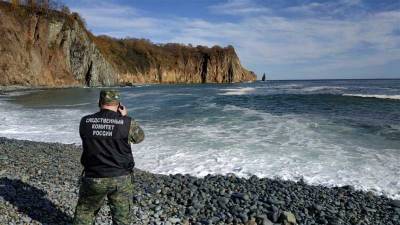 СКР озвучил приоритетную версию гибели морских животных на Камчатке