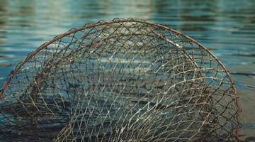 Мурманские полицейские спровоцировали рыбака на браконьерство