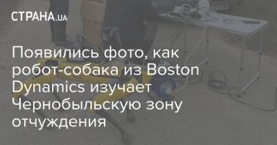Появились фото, как робот-собака из Boston Dynamics изучает Чернобыльскую зону отчуждения - strana.ua - Украина - Boston