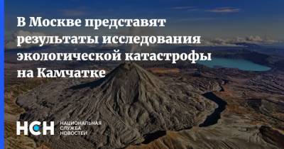 В Москве представят результаты исследования экологической катастрофы на Камчатке