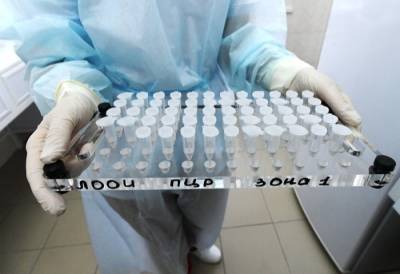Около 1,9 тыс. случаев коронавируса выявлено в Поволжье за сутки