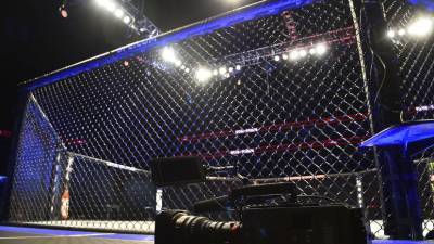 Хабиб Нурмагомедов - Джастин Гэтжи - Хоуз нокаутировал Малкуна за 19 секунд на UFC 254 - russian.rt.com - Австралия - Абу-Даби