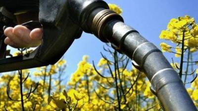 Госэнергоэффективности и Минэнерго предлагают освободить производство биотоплива от налога СО2