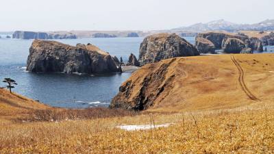 Япония планирует вернуть российские острова Хабомаи и Шикотан