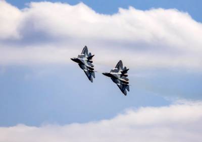 Эксперты Sohu нашли причину подражания ВВС США российским истребителям
