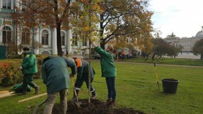С начала октября садовники высадили в Петербурге около пяти тысяч деревьев