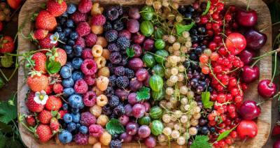 Производство фруктов и ягод в фермерских хозяйствах Беларуси выросло в 13 раз