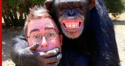 Ученые показали на приматах, как люди выбирают друзей в старости