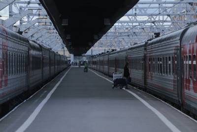 Коронавирус повлияет на движение поездов в Петербурге