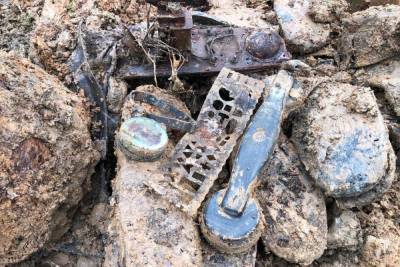 В Тверской области обнаружены останки 12 неизвестных красноармейцев