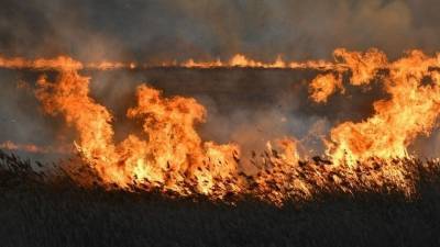 Степные пожары в Омской области вплотную подошли к жилым домам
