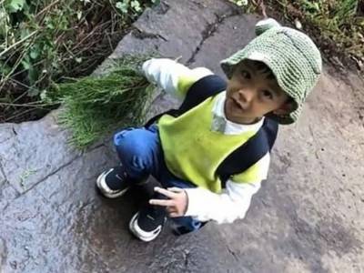 Пятилетний мальчик из Китая распознал следы динозавра
